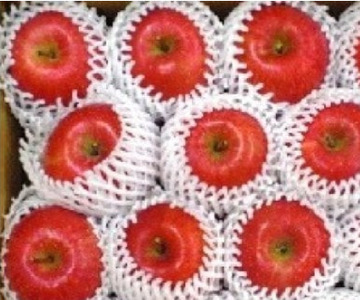 りんご（ サンふじ ）約5kg 12月より発送開始 くろいわ産直 フジ さんふじ 贈答 お歳暮 ギフト 冬の贈り物 プレゼント 厳選 甘い 果汁たっぷり リンゴ 林檎 岩手県 北上市 E0310 国産