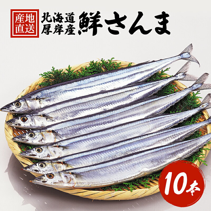 セレクション対象【ふるさと納税】先行予約 産地直送 鮮度抜群 北海道 厚岸産 刺身用 鮮さんま 10本 サンマ 秋刀魚 さんま 鮮魚 魚介類 海産 生さんま　お届け：2026年9月下旬～11月初旬まで