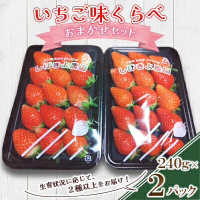 【ふるさと納税】いちご味くらべ　おまかせセット(各パック240g×2(2種類以上))【配送不可地域：離島】【1588404】