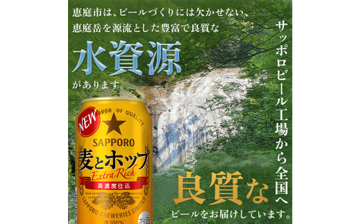 『定期便：全3回』麦とホップ350ml×24本