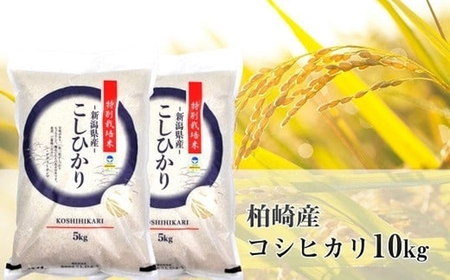 【令和7年産米】コシヒカリ 白米 10kg（5kg×2袋） 新潟県認証特別栽培米 お米 新潟県産 アグリーホンマ[Y0364]