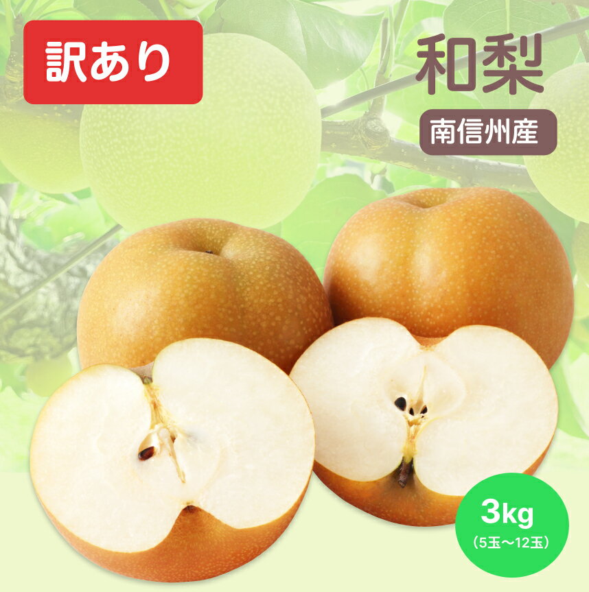 【ふるさと納税】南信州産 訳あり 和梨 約3kg | 果物 くだもの フルーツ和梨 梨 幸水 豊水 南水 あきづき 訳あり わけあり 長野県 信州 南信州 飯田市 BE01