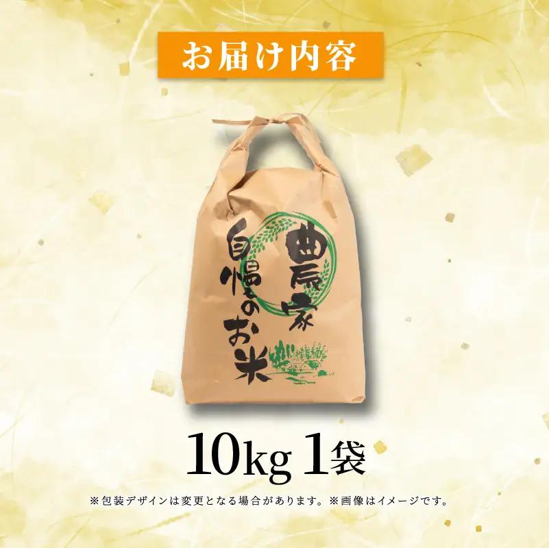 【新米】 令和8年産 先行予約 「きぬむすめ」 10kg ｜ 新米