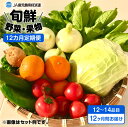 【ふるさと納税】【JA直売所セレクト】12ヵ月定期便！旬鮮野菜・果物セット（12～14品目） ふるさと納税 鹿児島市 贈り物 プレゼント ギフト お取り寄せ お土産 送料無料 やさい くだもの 新鮮 バランス 栄養 こども 子ども 家庭 農家 安心 安全 旬 九州 定期便