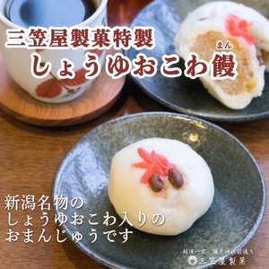 きんぴらだんごとしょうゆおこわ饅と笹おこわの詰め合せ | 詰め合わせ 新潟県 弥彦村