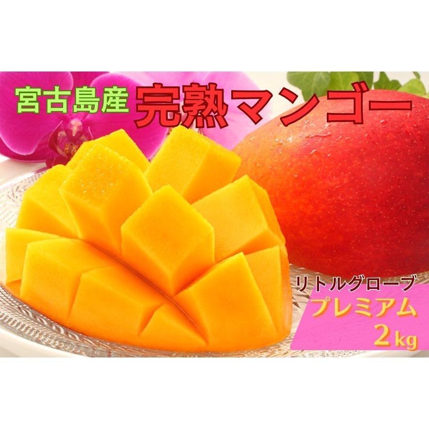 【ふるさと納税】宮古島産プレミアムマンゴー2kg ＜リトルグローブ＞（LT006）