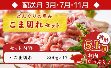 「どんぐりの恵み豚」エンジョイ定期便(5ヶ月)_TAC5-1101_(都城市) 万能スライスセット キャンプ飯セット こま切れセット しゃぶしゃぶセットなど 毎月お届け 小分け 豚肉セット 冷凍 いろ
