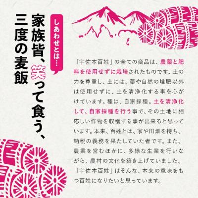 ふるさと納税 宇佐市 しあわせ米のあまざけ 贈答セット(赤×赤) 900ml×2本【101000202】【宇佐本百姓】 |  | 01