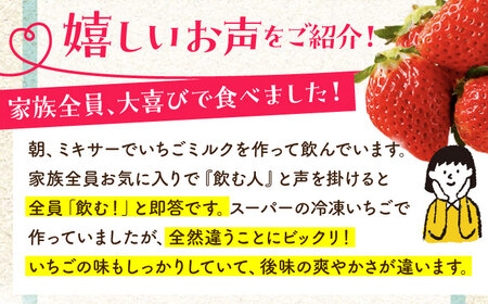 王様のいちご 摘みたてこおりいちご 1kg（冷凍いちご）いちごさん さがほのか【むらおか農園】フルーツ 果物 イチゴ [HAF007]