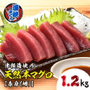 【ふるさと納税】【先行予約】福島町水揚げ本マグロ「海峡まぐろ」赤身(1.2kg) 本まぐろ 本マグロ 本鮪 海峡まぐろ 海峡マグロ 海峡鮪 海鮮 天然 赤身 刺身 数量限定 贈答 贈り物 ギフト プレゼント 北海道 福島町 送料無料 FKO002