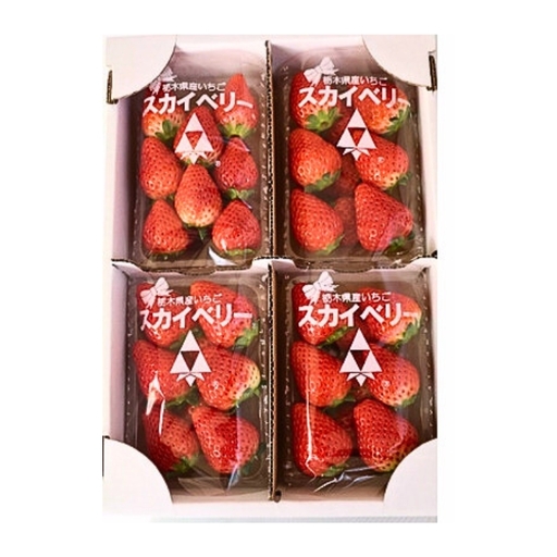 【先行予約】出会いの森いちご園 スカイベリー （290g×4パック） | いちご イチゴ 苺 栃木県 果物 くだもの フルーツ スカイベリー 新鮮 贈答 ギフト デザート スイーツ ※2026年12月