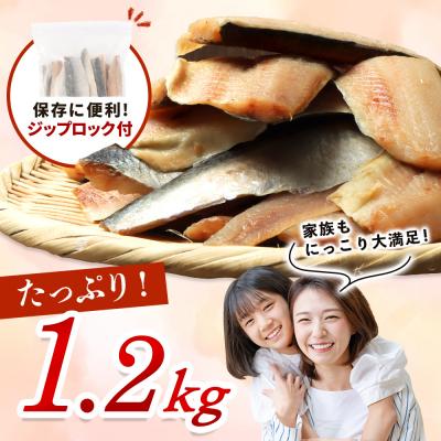 ふるさと納税 興部町 【ワケあり】 ”生冷” 春にしんフィレ1.2kg(オホーツク産・オス無塩) |  | 01
