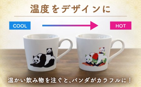 【美濃焼】 温度で変化する器 温感 パンダ マグカップ （2個） 『親子パンダ2種』 【丸モ高木陶器】 [TBA079]
