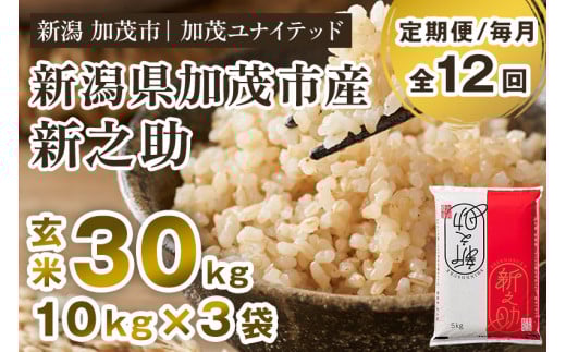 【令和7年産】【定期便12ヶ月毎月お届け】新潟県産 新之助 玄米30kg（10kg×3袋）《順次発送》 新潟県産新之助 新潟産新之助 加茂市産新之助 新之助 しんのすけ 新潟 ブランド米 新之助 加茂市 加茂ユナイテッド