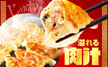 加登屋の町中華 餃子・春巻セット 4人前 【加登屋食堂】冷凍餃子 簡単 おすすめ[MGQ005]