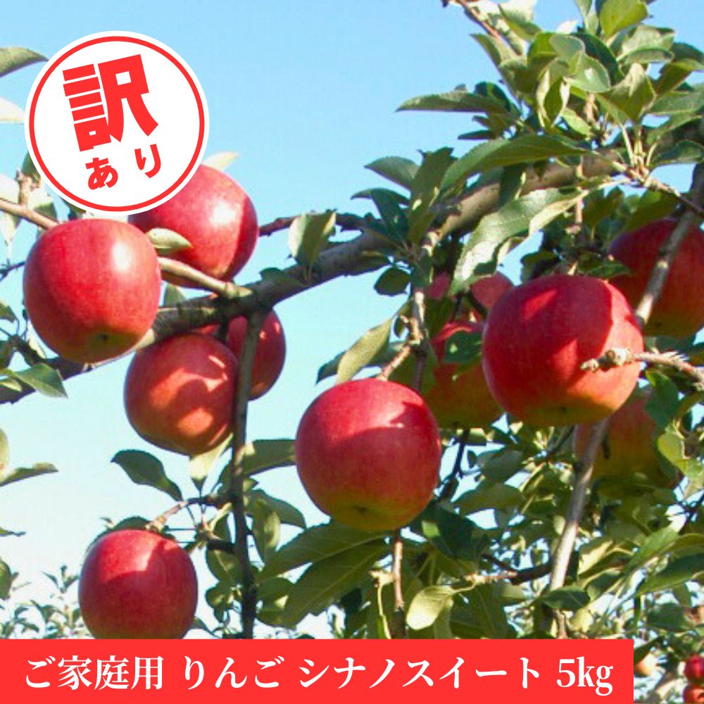 【ふるさと納税】＜ 先行予約 ＞ りんご ご家庭用 訳あり 「 シナノスイート 」 5kg 山形県 朝日町産 農家直送 山形県産 特産 果物 フルーツ リンゴ 林檎 秋 送料無料
