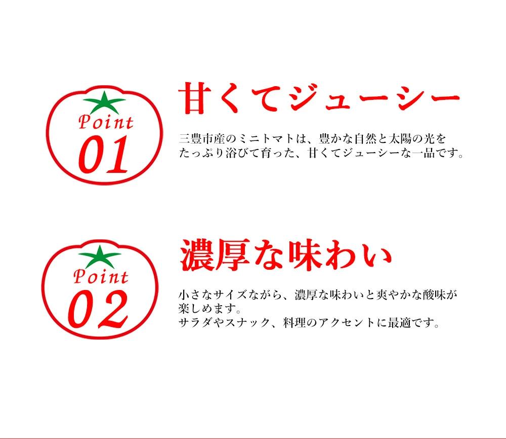 【ふるさと納税】ミニトマト 1.5kg~3kg 選べる 香川農園 三豊市産トマト プチトマト 訳あり ぎゅっと詰まった太陽のエネルギー 新鮮そのまま 健康と美味しさの両立 一口で感じるフレッシュ 一日