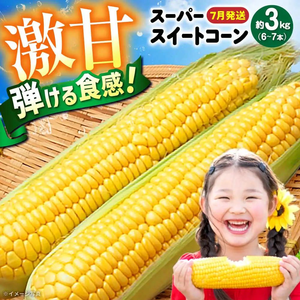 【7月上旬頃より発送】スーパースイートコーン 約3kg（6～7本） / とうもろこし トウモロコシ コーン 新鮮 野菜 / 瀬戸市 / 株式会社フラットフィールド[BBEE005]