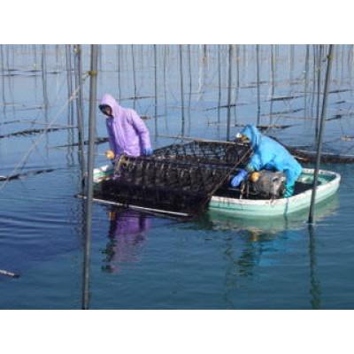 ふるさと納税 飯塚市 有明海産海苔　初摘み有明美人詰合せ(18袋) |  | 02