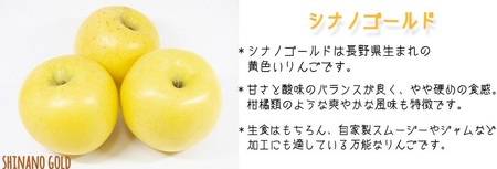 りんご シナノゴールド 家庭用 3kg ヤマウラ農園 沖縄県への配送不可 2026年11月上旬頃から2026年11月中旬頃まで順次発送予定 令和8年度収穫分 信州 果物 フルーツ リンゴ 林檎 長野 