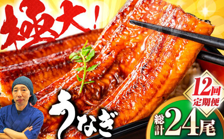 【全12回定期便】中国産 特大うなぎ蒲焼 計440g（220g×2尾）吉野ヶ里町/株式会社フジマキ うなぎ ウナギ 蒲焼[FDM016]