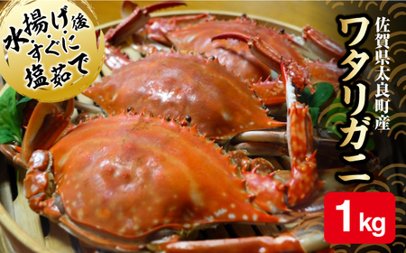 【希少なカニ！数量限定】有明海からの贈り物 竹崎かに 1kg / 渡り蟹 カニ 蟹味噌 海鮮 / 佐賀県 / 宗徳丸 [41ATAF002]