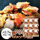 【ふるさと納税】【焼くだけ】やわらか豚ハラミのバジルソース焼き《合計2.7Kg》【配送不可地域：離島】【1226900】