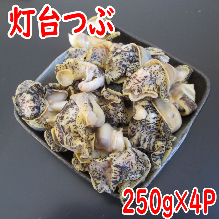 【ふるさと納税】 [北海道根室産] 灯台つぶむき身 250g × 4P つぶ ツブ つぶ貝 ツブ貝 つぶがい ツブガイ 貝 お取り寄せ グルメ 海鮮 刺身 煮物 バター焼き 北海道 根室市 ふるさと納税 A-19005