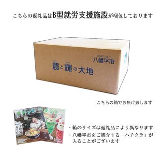 そば粉 ＆ そばの実セット ／ わんだい高原 蕎麦粉 蕎麦の実 国産