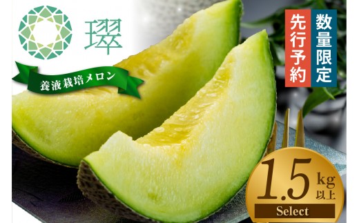 【先行予約】養液栽培メロン「璻」1玉【Select】（重さ1.5kg以上）｜メロン めろん 果物 フルーツ 高級 旬 お取り寄せ 青肉 ご褒美 グルメ 璻 甘い 愛知県 常滑市