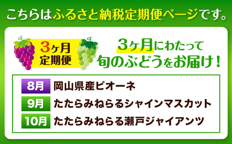 【2025年産先行予約】3ヶ月 定期便 食べ比べセット たたらみねらる シャインマスカット 瀬戸ジャイアンツ ピオーネ 各1房《2025年8月下旬-10月下旬頃出荷》岡山県 笠岡市 マスカット ぶどう ブドウ 葡萄 フルーツ 果物 たたらみねらる 食べ比べ セット