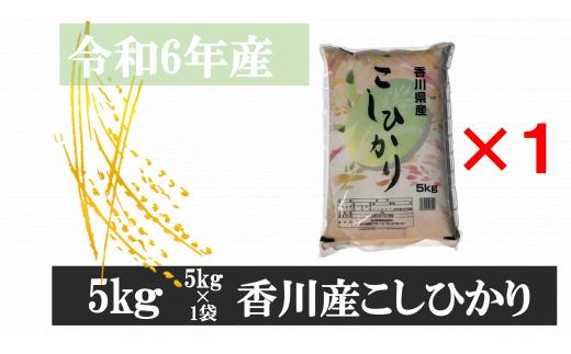 995-7　令和6年産香川県産こしひかり　5ｋｇ　紙袋配送【7月配送】