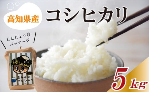 数量限定 コシヒカリ 5kg 令和7年 白米 精米 米 こしひかり ブランド米 国産 高知県 須崎 しんじょう君 産地直送
