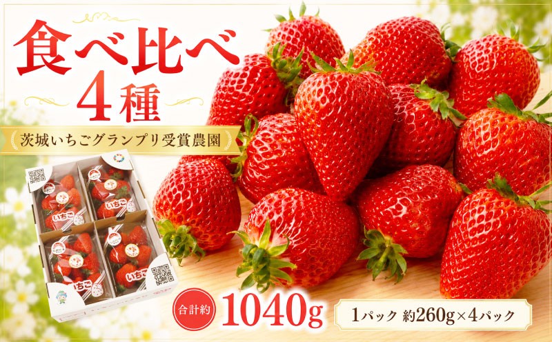 
                  いちご [2027年1月中旬順次発送] 完熟 いちご 4品種 食べ比べ セット 数量限定 先行予約 【茨城いちごグランプリ受賞農園】 いばらキッス ひたち姫 とちおとめ やよいひめ よつぼし すず はるひ かおり野 ほしうらら イチゴ 苺 旬 フルーツ 果物 果実 ふるさと納税苺 おすすめ苺 ギフト 国産 関東 茨城県 茨城 筑西市 筑西 いちごのひろせ
                