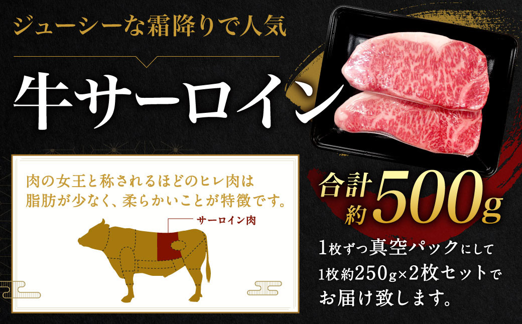 九州産 黒毛和牛 サーロインステーキ 約500g (約250g×2枚) 牛肉 国産 ステーキ