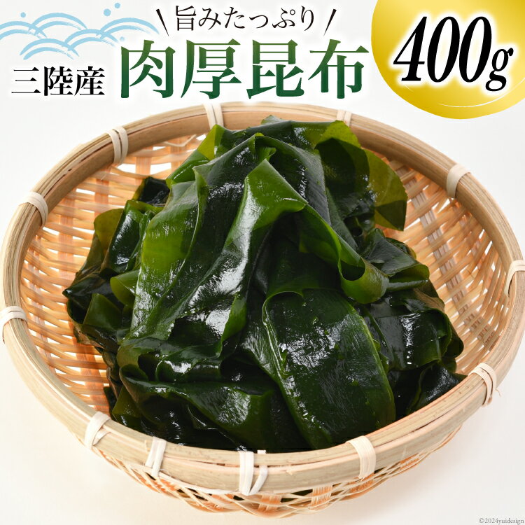 【ふるさと納税】三陸産 肉厚 昆布 400g [川村海産 宮城県 気仙沼市 20564661] 海産物 コンブ 佃煮 煮物 おやつ おつまみ おでん 煮物 煮しめ 出汁 海藻 魚介類 常温