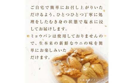 生うに 160g（80g×2）塩水 宮城県産 生ウニ 雲丹 うに ウニ