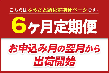★6ヶ月定期便★ 季節のお花ブーケ《お申込み月の翌月から出荷開始》椿原園 初回のみ 花瓶付き お花 花