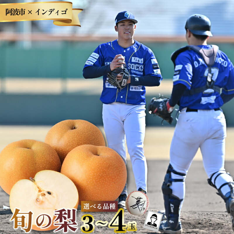 【ふるさと納税】 徳島 インディゴソックス コラボ 梨 グッズ セット サイン入りチェキ サインボール 果物 フルーツ 野球 四国アイランドリーグ 阿波市