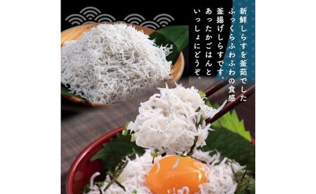 高知の海の干物たち＜高知市・南国市共通返礼品＞