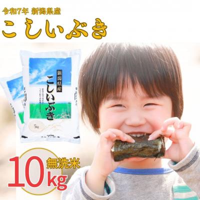 ふるさと納税 三条市 無洗米 新潟県産こしいぶき10kg 令和7年産 米【012S021】