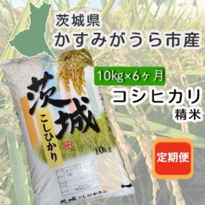 ふるさと納税 かすみがうら市 【毎月定期便】茨城県かすみがうら産　精米　コシヒカリ10kg全6回