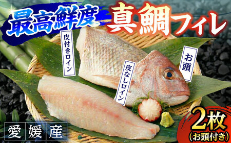 愛媛県産養殖真鯛フィレ2枚 BKBA001 鯛