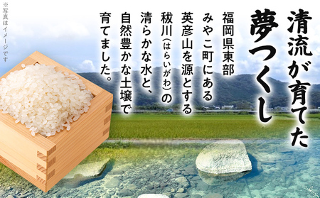 米 定期便 3回 酒井さんちのお米 夢つくし（白米） 5kg 定期便 米 白米 精米 国産 農家直送 国産米 国産 おにぎり お弁当 朝ごはん 軽食 間食 おやつ 福岡県 福岡 九州 グルメ お取り寄