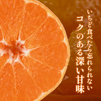 【先行予約】甘平 2.5kg 家庭用 高級柑橘 甘い 小箱 愛媛県オリジナル品種【配送不可地域：離島】【1738867】