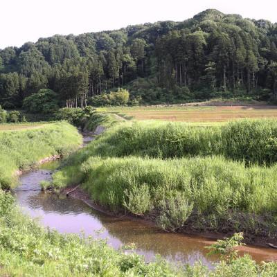 ふるさと納税 上越市 ★数量限定★令和8年産・新潟県上越市吉川区国田産・特別栽培米コシヒカリ玄米5kg |  | 01