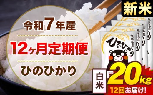 【12ヶ月定期便】新米 令和7年産 白米 20kg 米 ひのひかり《1月から出荷開始》熊本県 菊池市 国産 熊本県産 白米 精米 無洗米 送料無料 ヒノヒカリ こめ お米