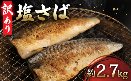 訳あり 塩さば 約2.7kg フィーレ 訳あり FN-SupportProject 増量 年末企画