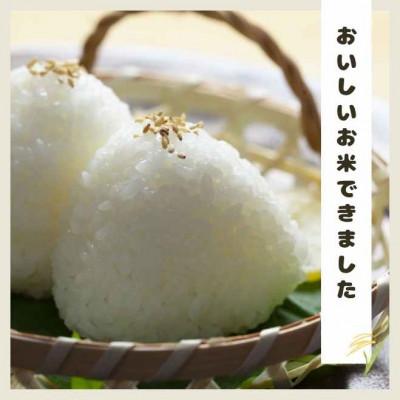 ふるさと納税 阿南市 栽培期間中6年間化学農薬・化学肥料不使用　徳島県産コシヒカリ　5kg　精米 |  | 02