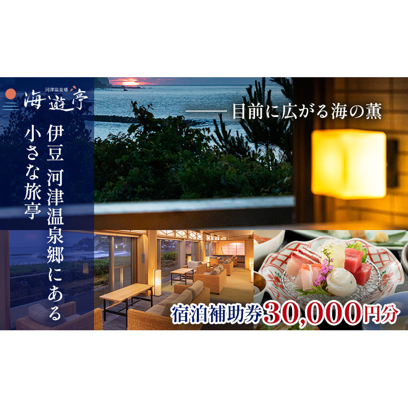 旅行 静岡県 宿泊補助券 海遊亭 30000円分 伊豆 温泉 河津温泉 オーシャンビュー 宿泊 旅館 ホテル 宿 観光 国内旅行 家族 ファミリー カップル 一人旅 記念日 チケット 宿泊券 旅行券 券 ギフト券 施設利用券 バナナワニ園 バガテル公園 静岡 河津 河津町